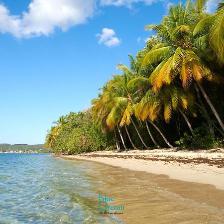 Le Kawan Nid: Beachside Retreat with Wi-Fi and Private Pool Grand-Bourg  Exterior photo