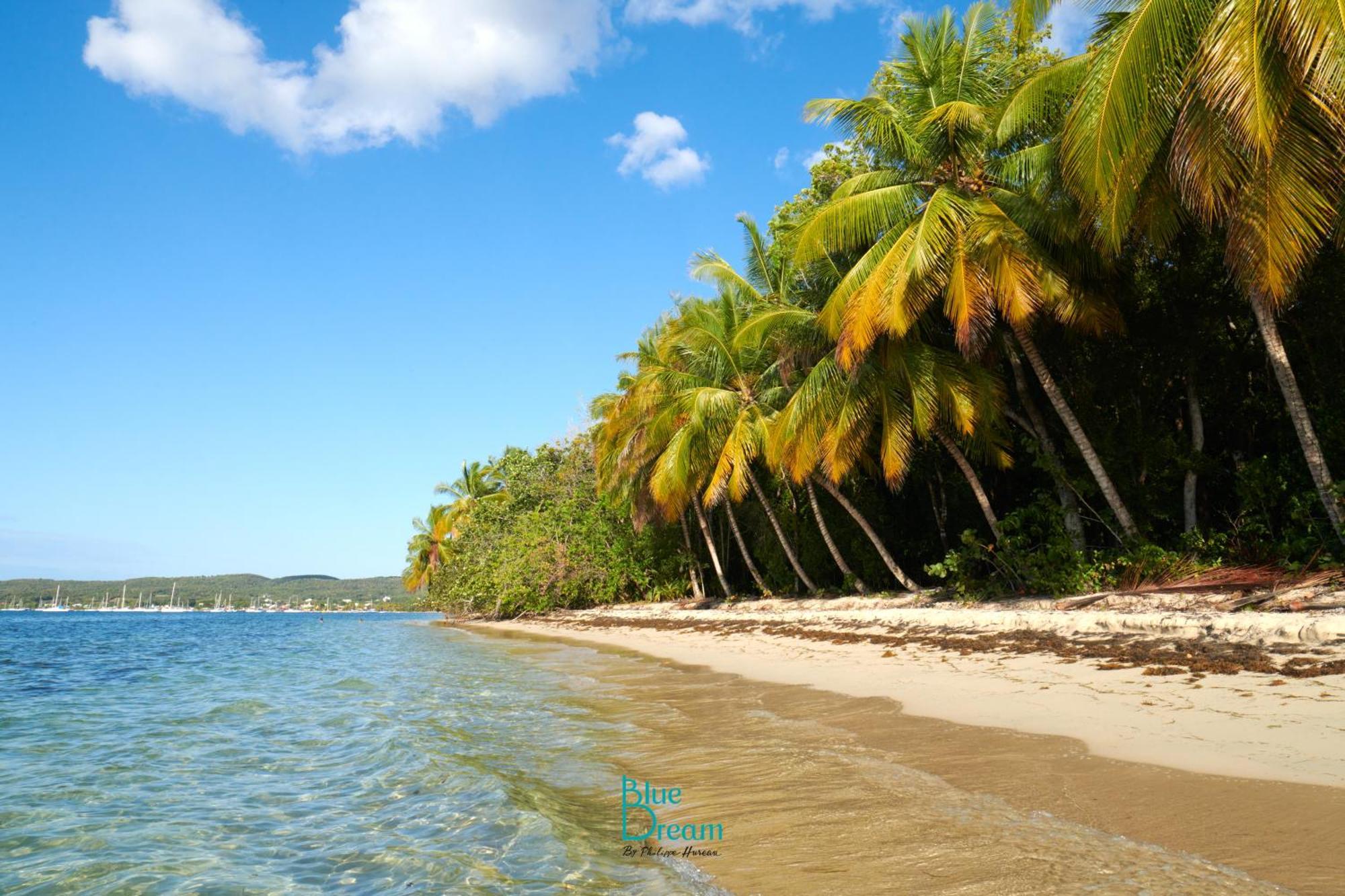 Le Kawan Nid: Beachside Retreat with Wi-Fi and Private Pool Grand-Bourg  Exterior photo
