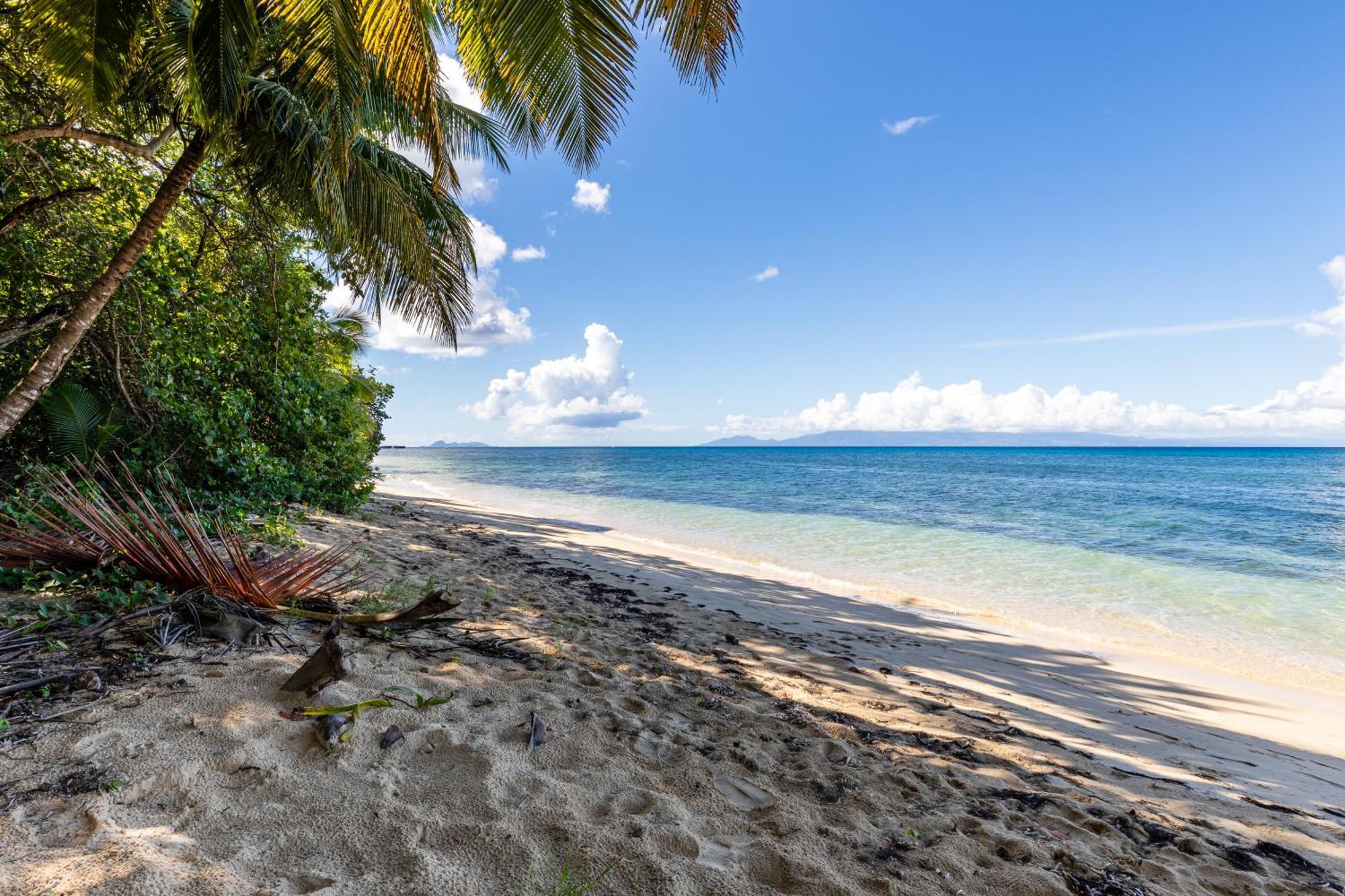Le Kawan Nid: Beachside Retreat with Wi-Fi and Private Pool Grand-Bourg  Exterior photo